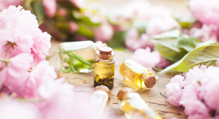 نت‌های عطر چیست؟ معرفی نت اولیه، میانی و پایانی